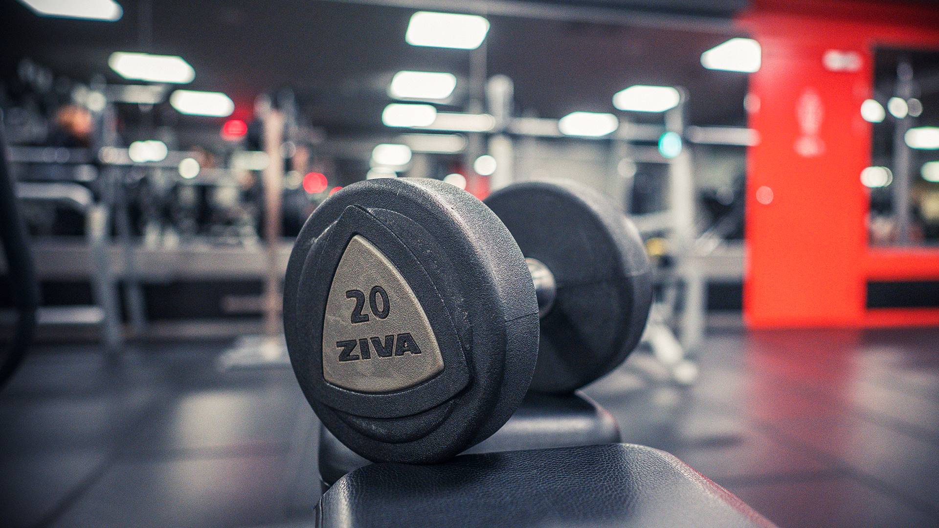 Bienvenido A Fitness24Seven bienvenido-a-fitness24seven